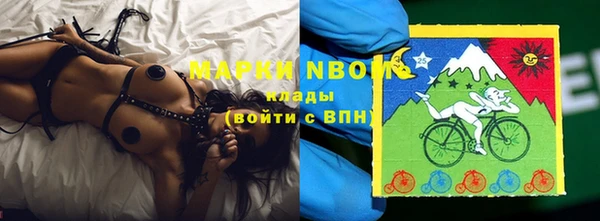 индика Заводоуковск