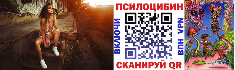 kraken ТОР  Калтан  Псилоцибиновые грибы Psilocybine cubensis 